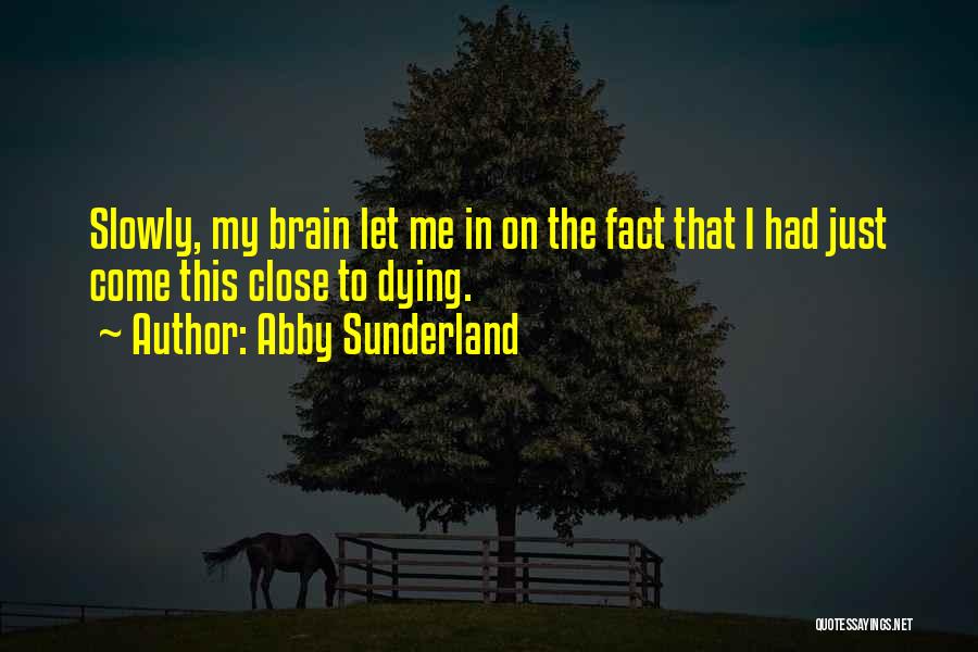 Abby Sunderland Quotes: Slowly, My Brain Let Me In On The Fact That I Had Just Come This Close To Dying.