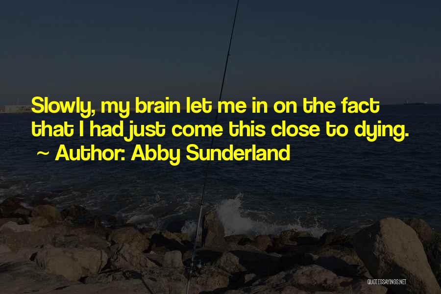 Abby Sunderland Quotes: Slowly, My Brain Let Me In On The Fact That I Had Just Come This Close To Dying.