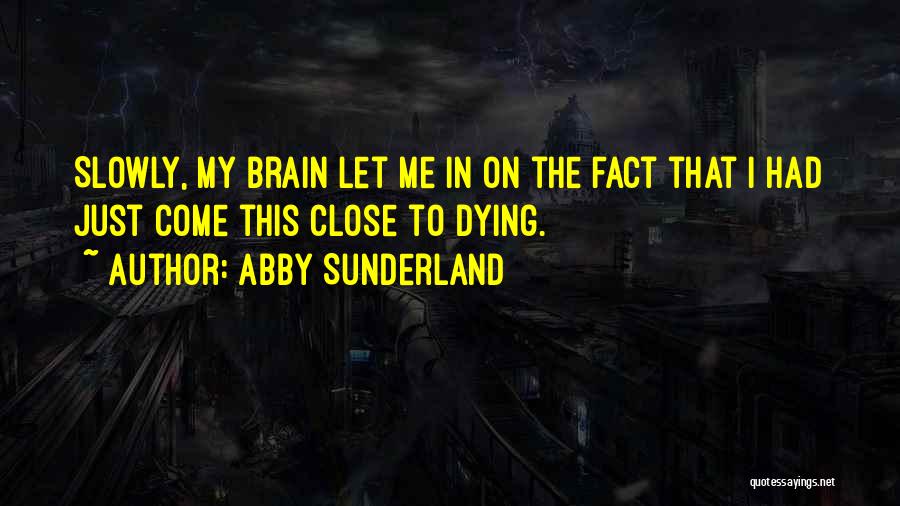 Abby Sunderland Quotes: Slowly, My Brain Let Me In On The Fact That I Had Just Come This Close To Dying.