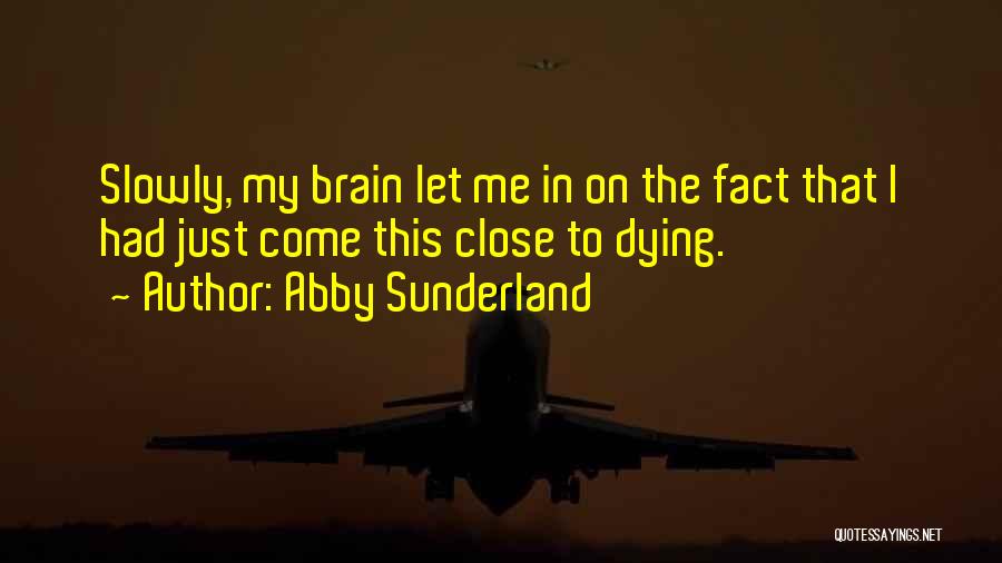 Abby Sunderland Quotes: Slowly, My Brain Let Me In On The Fact That I Had Just Come This Close To Dying.