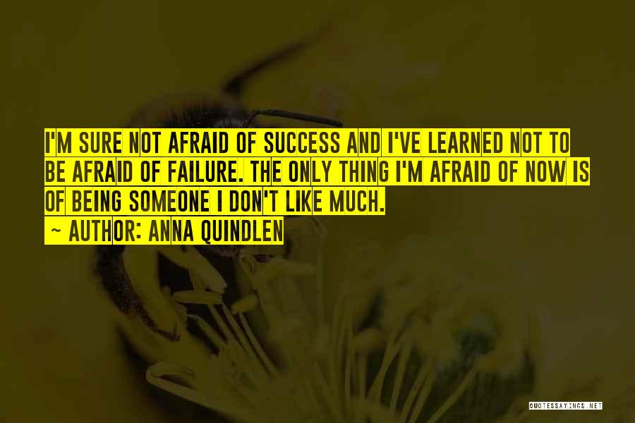 Anna Quindlen Quotes: I'm Sure Not Afraid Of Success And I've Learned Not To Be Afraid Of Failure. The Only Thing I'm Afraid