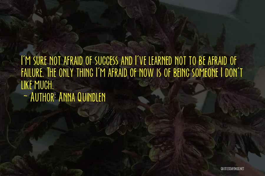 Anna Quindlen Quotes: I'm Sure Not Afraid Of Success And I've Learned Not To Be Afraid Of Failure. The Only Thing I'm Afraid