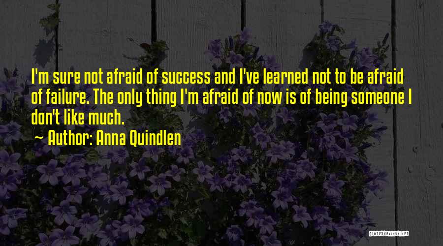 Anna Quindlen Quotes: I'm Sure Not Afraid Of Success And I've Learned Not To Be Afraid Of Failure. The Only Thing I'm Afraid