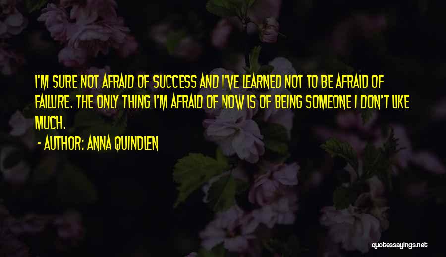 Anna Quindlen Quotes: I'm Sure Not Afraid Of Success And I've Learned Not To Be Afraid Of Failure. The Only Thing I'm Afraid