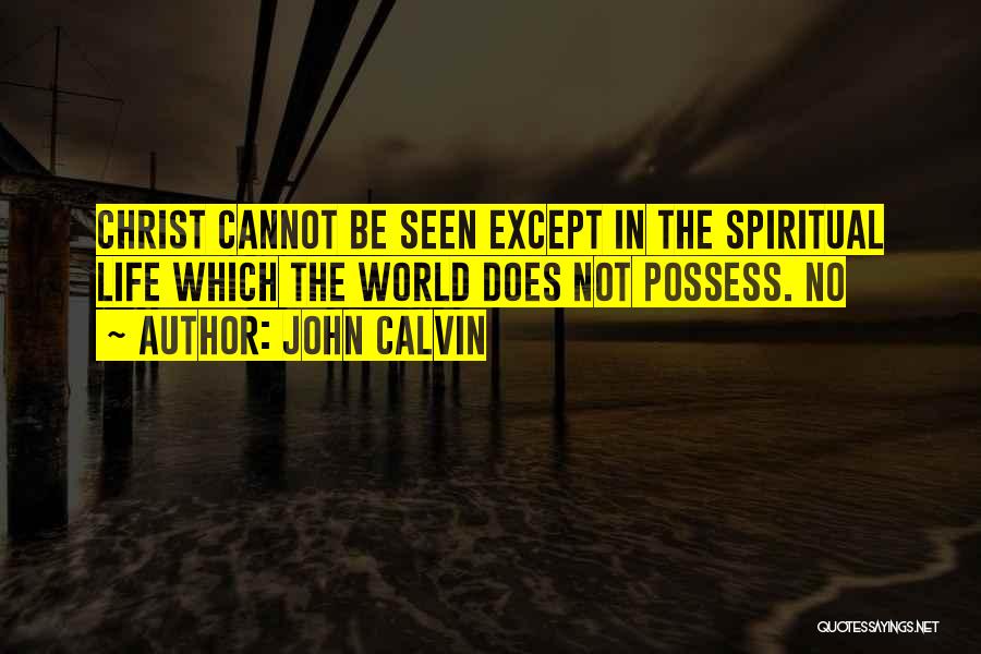 John Calvin Quotes: Christ Cannot Be Seen Except In The Spiritual Life Which The World Does Not Possess. No