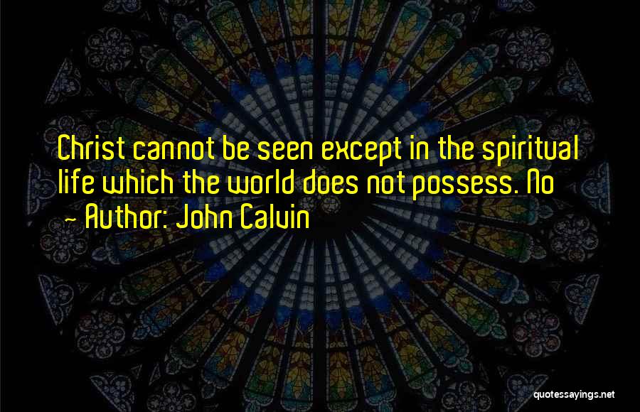 John Calvin Quotes: Christ Cannot Be Seen Except In The Spiritual Life Which The World Does Not Possess. No