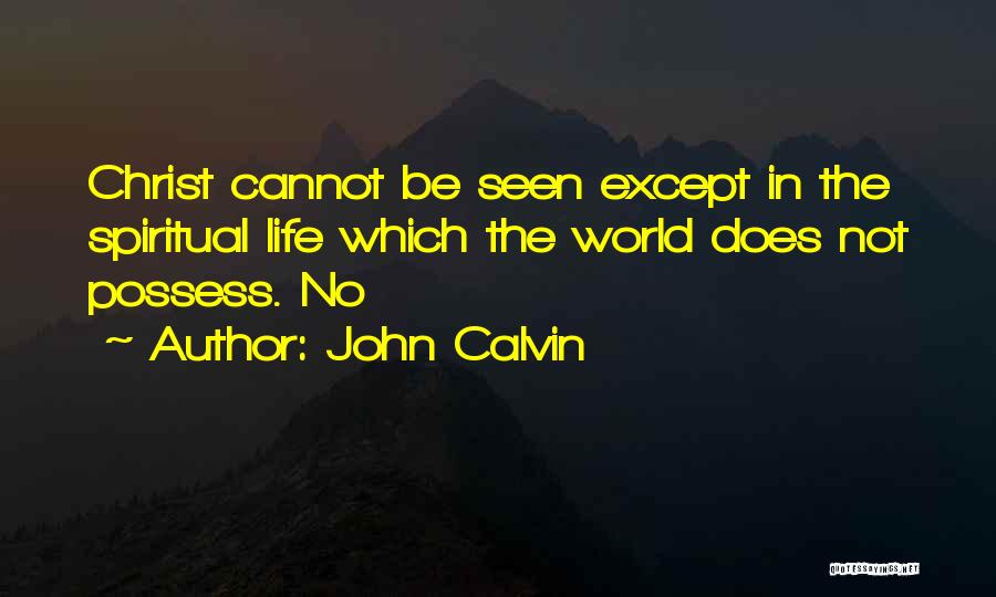 John Calvin Quotes: Christ Cannot Be Seen Except In The Spiritual Life Which The World Does Not Possess. No