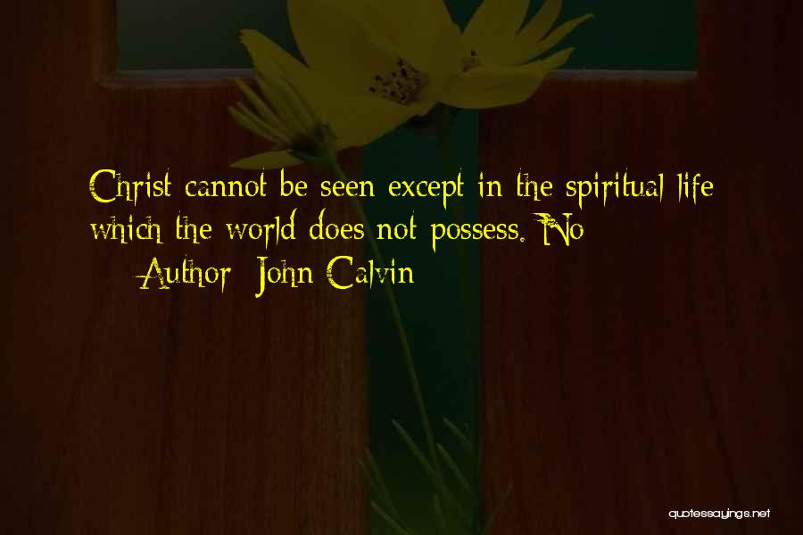 John Calvin Quotes: Christ Cannot Be Seen Except In The Spiritual Life Which The World Does Not Possess. No