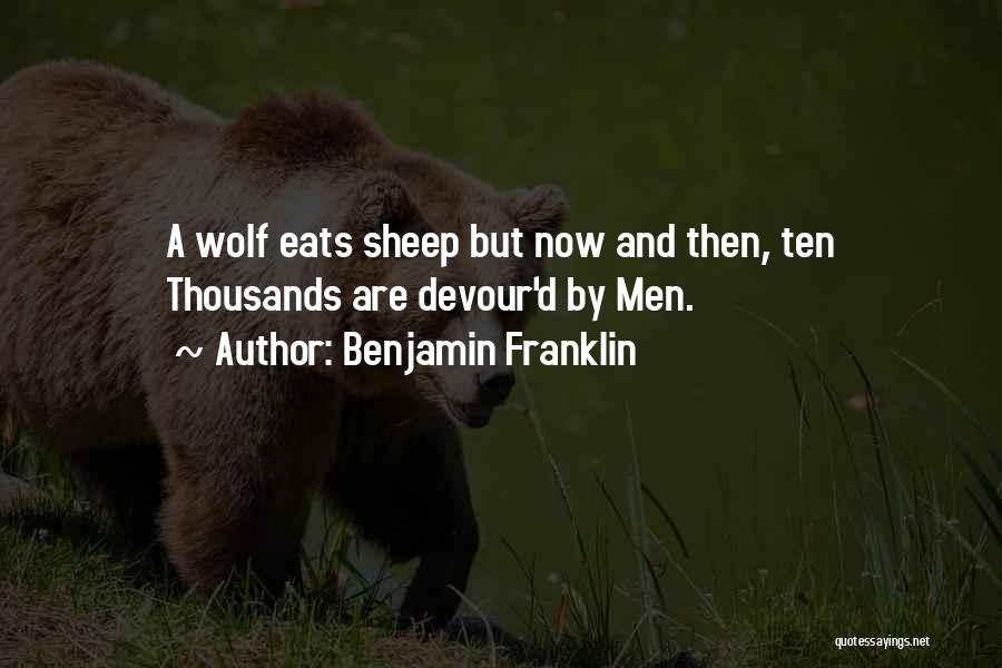 Benjamin Franklin Quotes: A Wolf Eats Sheep But Now And Then, Ten Thousands Are Devour'd By Men.