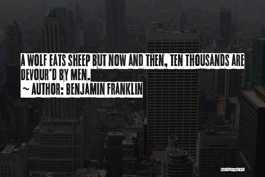 Benjamin Franklin Quotes: A Wolf Eats Sheep But Now And Then, Ten Thousands Are Devour'd By Men.
