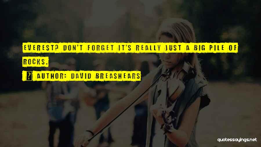 David Breashears Quotes: Everest? Don't Forget It's Really Just A Big Pile Of Rocks.