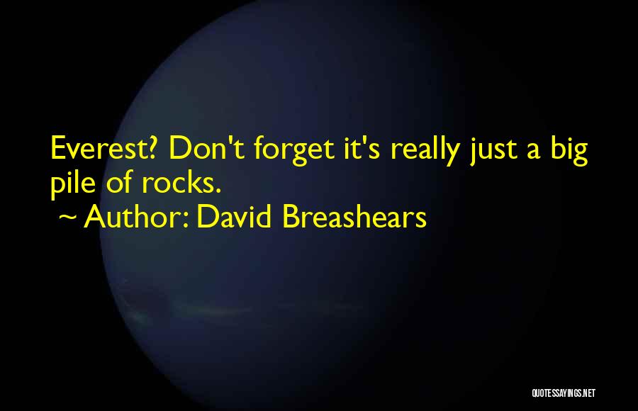 David Breashears Quotes: Everest? Don't Forget It's Really Just A Big Pile Of Rocks.