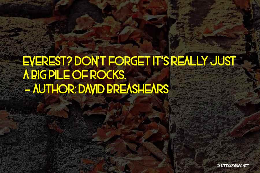David Breashears Quotes: Everest? Don't Forget It's Really Just A Big Pile Of Rocks.