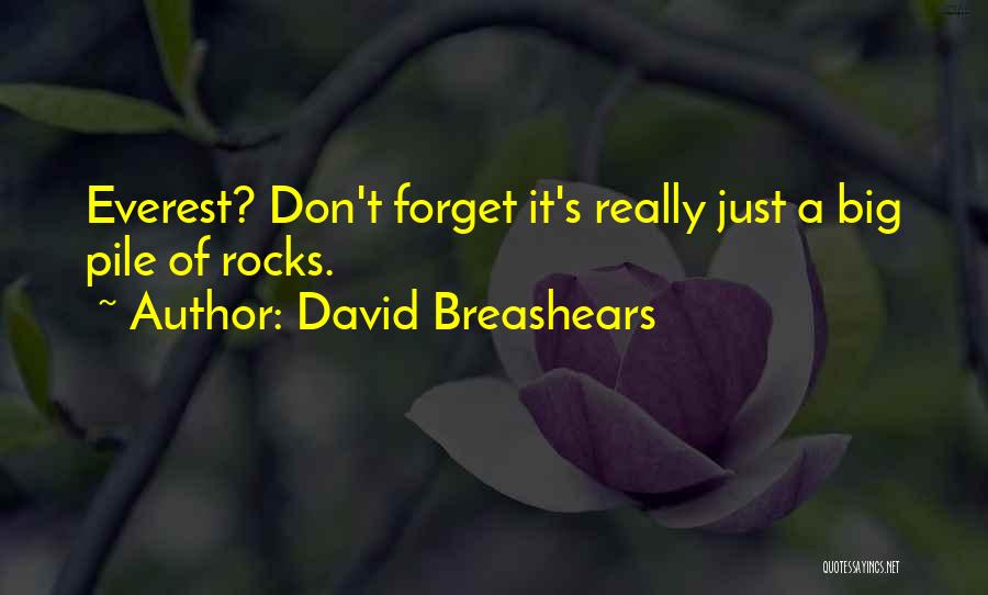 David Breashears Quotes: Everest? Don't Forget It's Really Just A Big Pile Of Rocks.