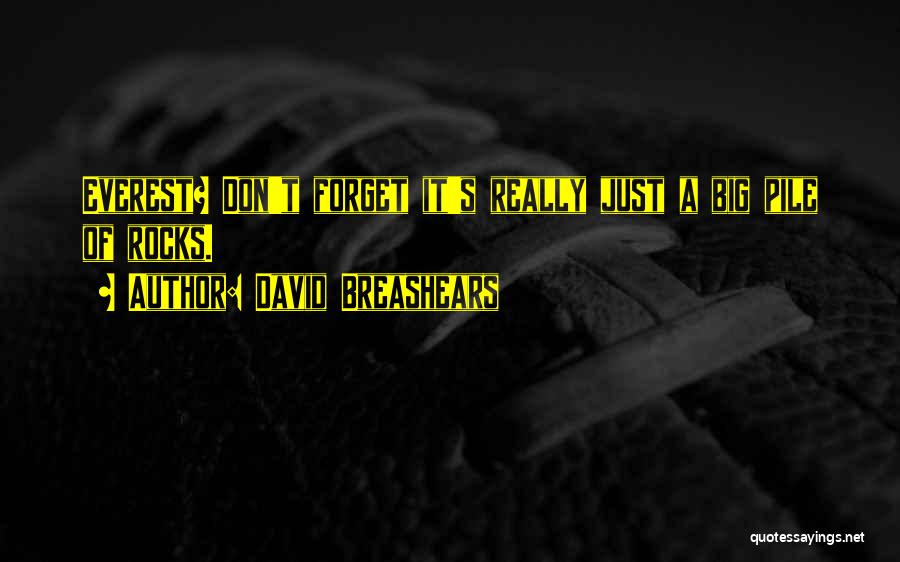 David Breashears Quotes: Everest? Don't Forget It's Really Just A Big Pile Of Rocks.