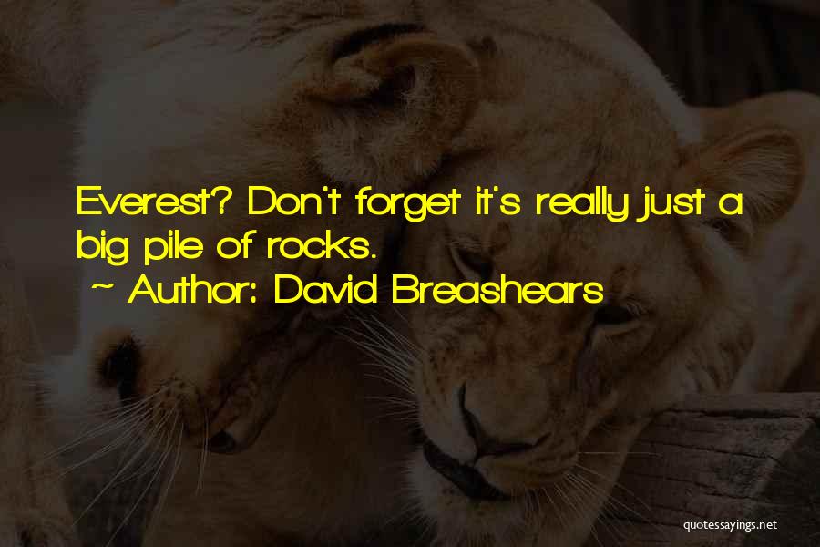David Breashears Quotes: Everest? Don't Forget It's Really Just A Big Pile Of Rocks.