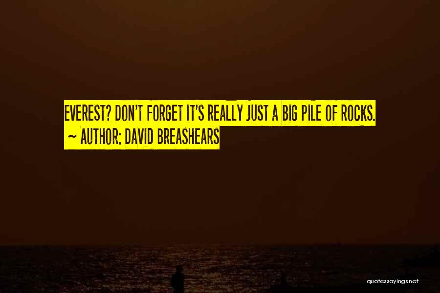 David Breashears Quotes: Everest? Don't Forget It's Really Just A Big Pile Of Rocks.