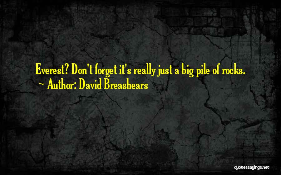 David Breashears Quotes: Everest? Don't Forget It's Really Just A Big Pile Of Rocks.