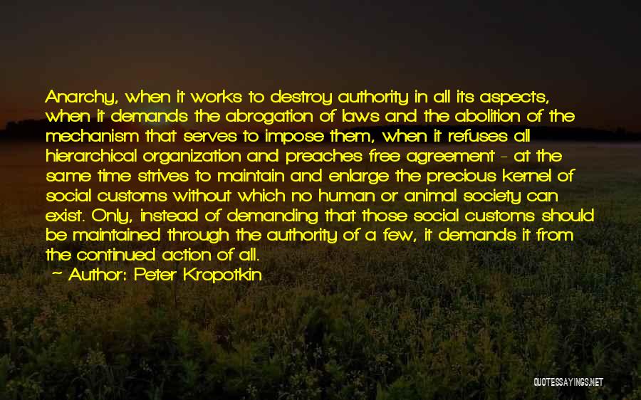 Peter Kropotkin Quotes: Anarchy, When It Works To Destroy Authority In All Its Aspects, When It Demands The Abrogation Of Laws And The