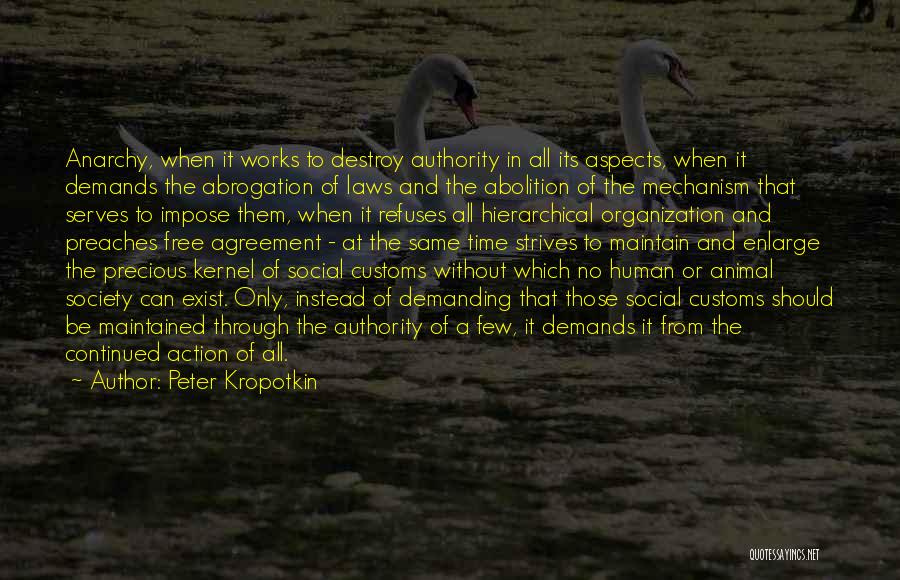 Peter Kropotkin Quotes: Anarchy, When It Works To Destroy Authority In All Its Aspects, When It Demands The Abrogation Of Laws And The