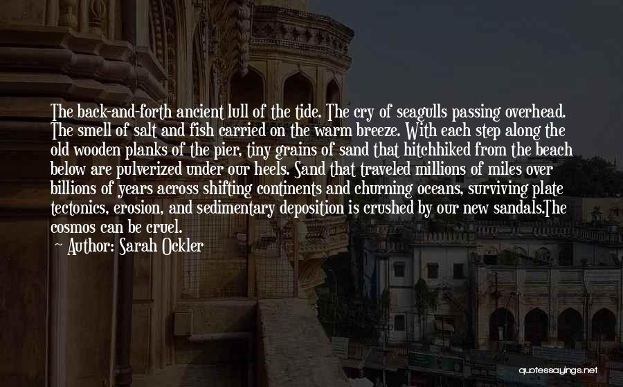 Sarah Ockler Quotes: The Back-and-forth Ancient Lull Of The Tide. The Cry Of Seagulls Passing Overhead. The Smell Of Salt And Fish Carried