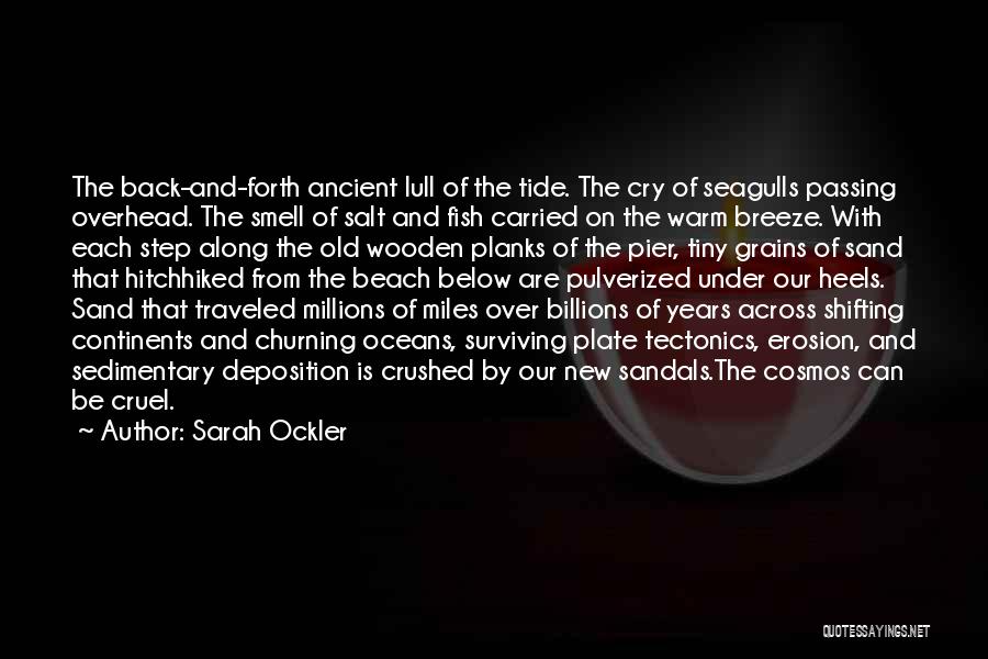 Sarah Ockler Quotes: The Back-and-forth Ancient Lull Of The Tide. The Cry Of Seagulls Passing Overhead. The Smell Of Salt And Fish Carried