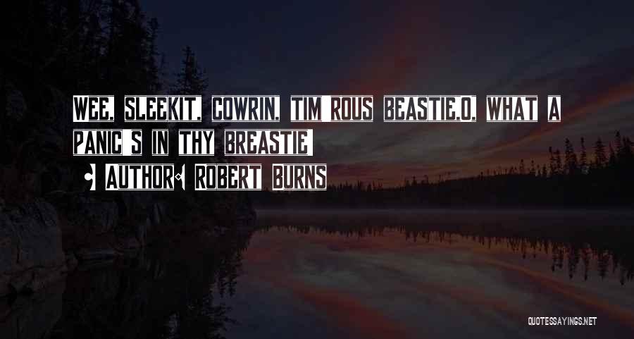 Robert Burns Quotes: Wee, Sleekit, Cowrin, Tim'rous Beastie,o, What A Panic's In Thy Breastie!