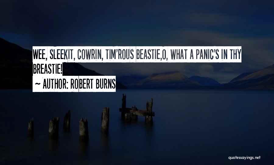 Robert Burns Quotes: Wee, Sleekit, Cowrin, Tim'rous Beastie,o, What A Panic's In Thy Breastie!
