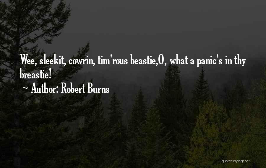 Robert Burns Quotes: Wee, Sleekit, Cowrin, Tim'rous Beastie,o, What A Panic's In Thy Breastie!