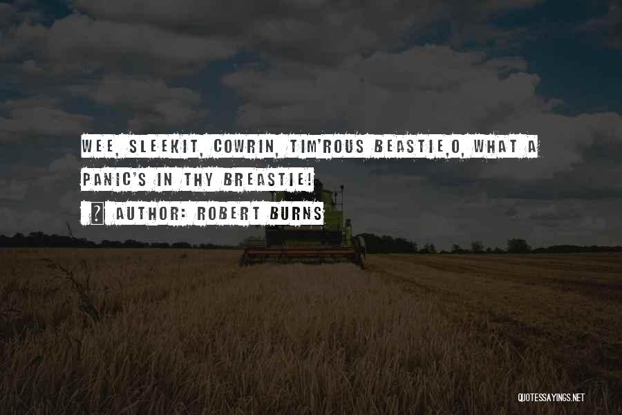 Robert Burns Quotes: Wee, Sleekit, Cowrin, Tim'rous Beastie,o, What A Panic's In Thy Breastie!