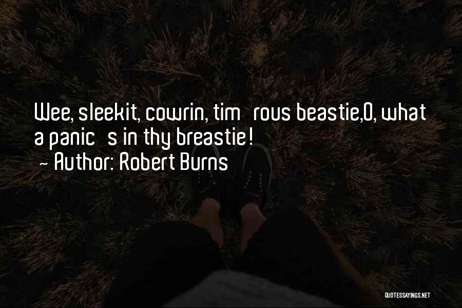 Robert Burns Quotes: Wee, Sleekit, Cowrin, Tim'rous Beastie,o, What A Panic's In Thy Breastie!