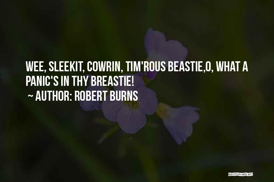 Robert Burns Quotes: Wee, Sleekit, Cowrin, Tim'rous Beastie,o, What A Panic's In Thy Breastie!