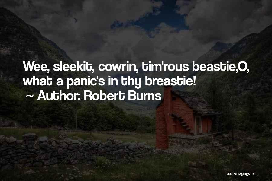 Robert Burns Quotes: Wee, Sleekit, Cowrin, Tim'rous Beastie,o, What A Panic's In Thy Breastie!