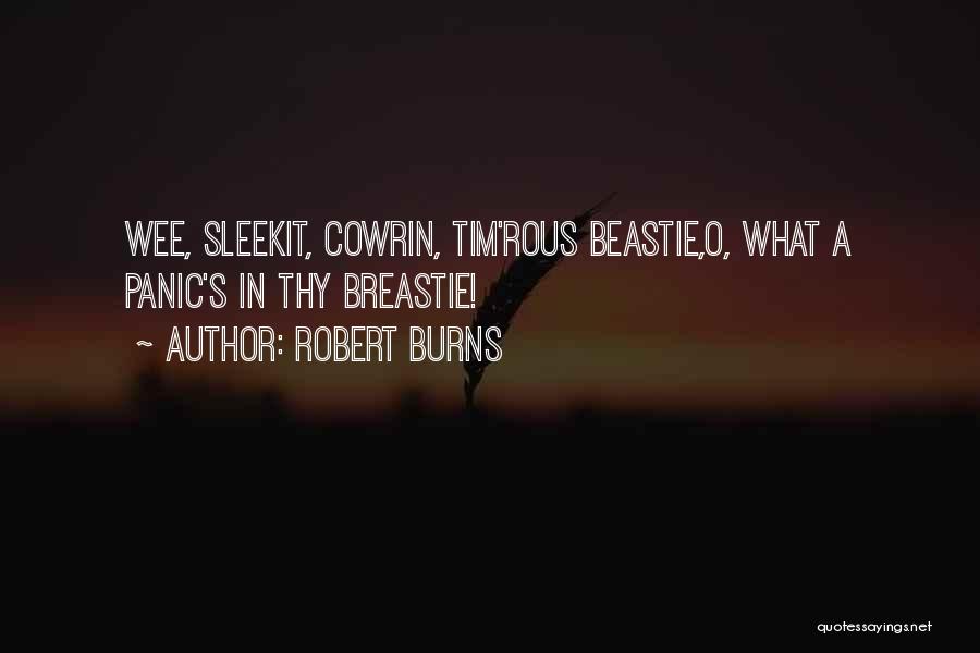 Robert Burns Quotes: Wee, Sleekit, Cowrin, Tim'rous Beastie,o, What A Panic's In Thy Breastie!