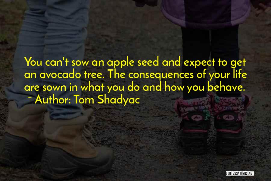 Tom Shadyac Quotes: You Can't Sow An Apple Seed And Expect To Get An Avocado Tree. The Consequences Of Your Life Are Sown