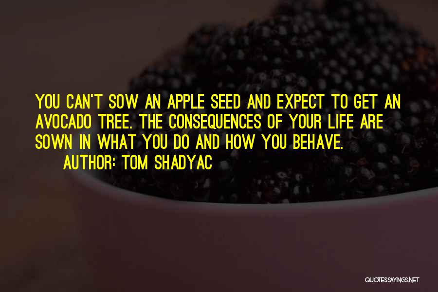 Tom Shadyac Quotes: You Can't Sow An Apple Seed And Expect To Get An Avocado Tree. The Consequences Of Your Life Are Sown