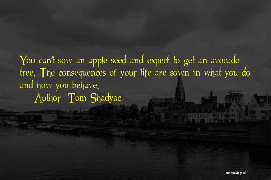 Tom Shadyac Quotes: You Can't Sow An Apple Seed And Expect To Get An Avocado Tree. The Consequences Of Your Life Are Sown