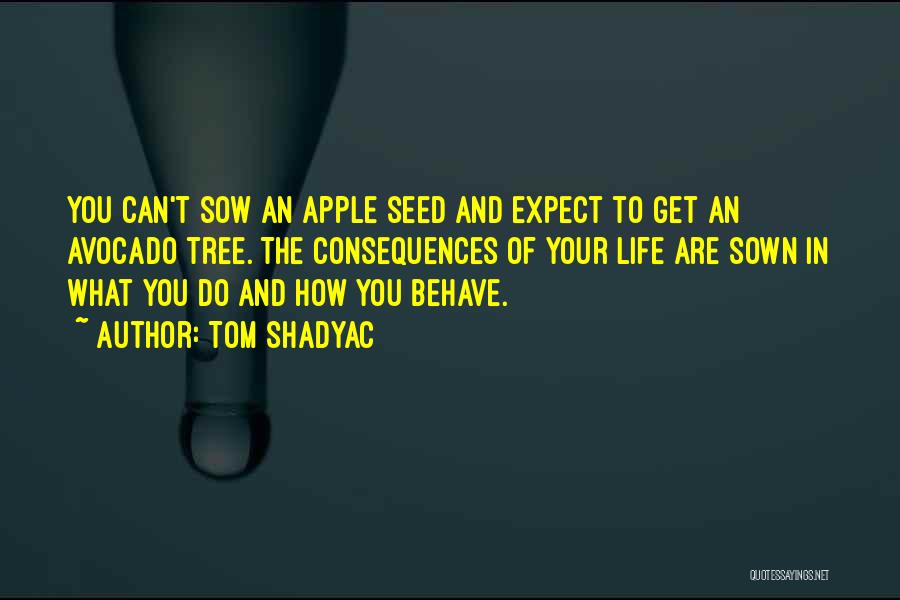 Tom Shadyac Quotes: You Can't Sow An Apple Seed And Expect To Get An Avocado Tree. The Consequences Of Your Life Are Sown
