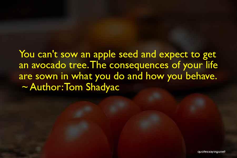 Tom Shadyac Quotes: You Can't Sow An Apple Seed And Expect To Get An Avocado Tree. The Consequences Of Your Life Are Sown