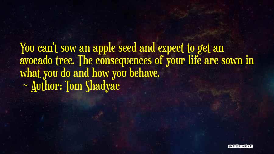 Tom Shadyac Quotes: You Can't Sow An Apple Seed And Expect To Get An Avocado Tree. The Consequences Of Your Life Are Sown