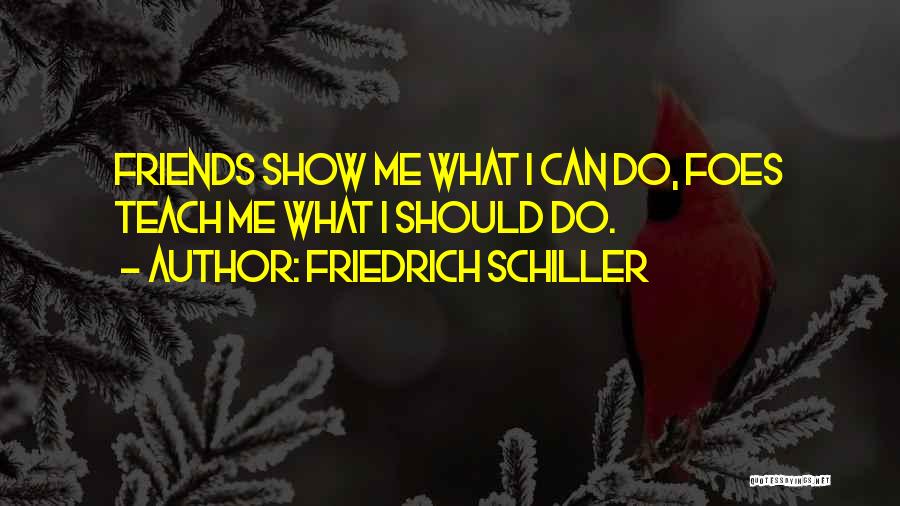 Friedrich Schiller Quotes: Friends Show Me What I Can Do, Foes Teach Me What I Should Do.