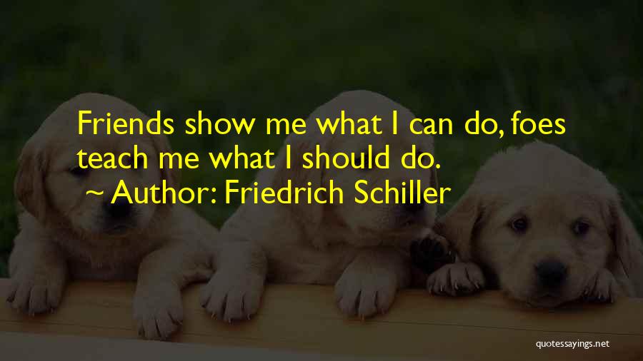 Friedrich Schiller Quotes: Friends Show Me What I Can Do, Foes Teach Me What I Should Do.