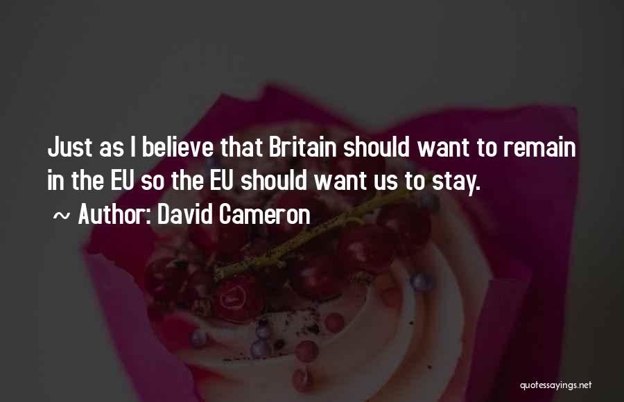 David Cameron Quotes: Just As I Believe That Britain Should Want To Remain In The Eu So The Eu Should Want Us To