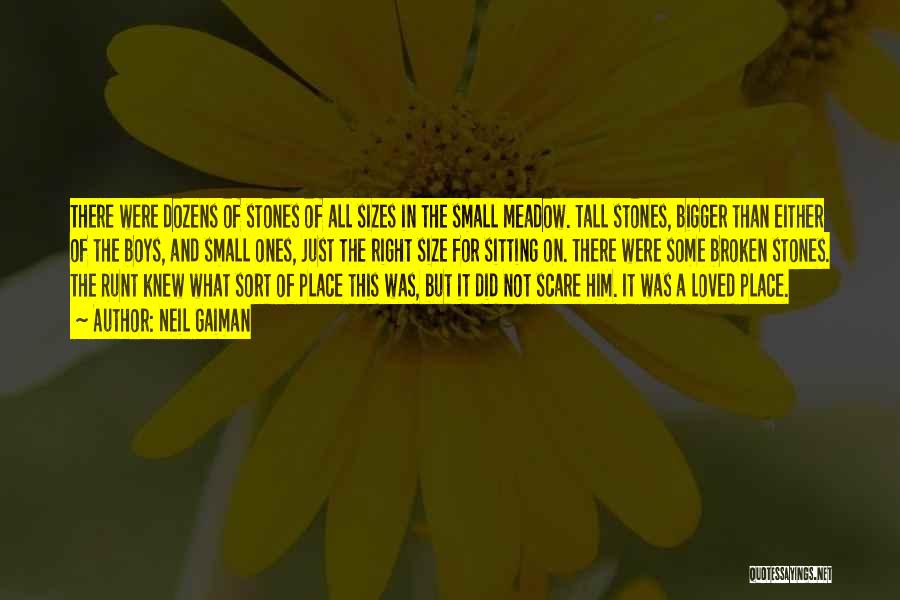 Neil Gaiman Quotes: There Were Dozens Of Stones Of All Sizes In The Small Meadow. Tall Stones, Bigger Than Either Of The Boys,
