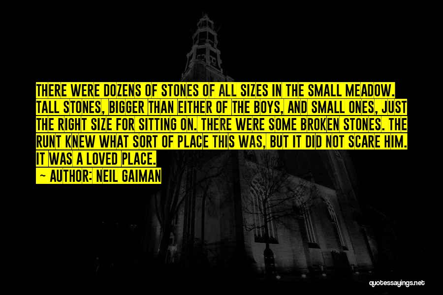 Neil Gaiman Quotes: There Were Dozens Of Stones Of All Sizes In The Small Meadow. Tall Stones, Bigger Than Either Of The Boys,