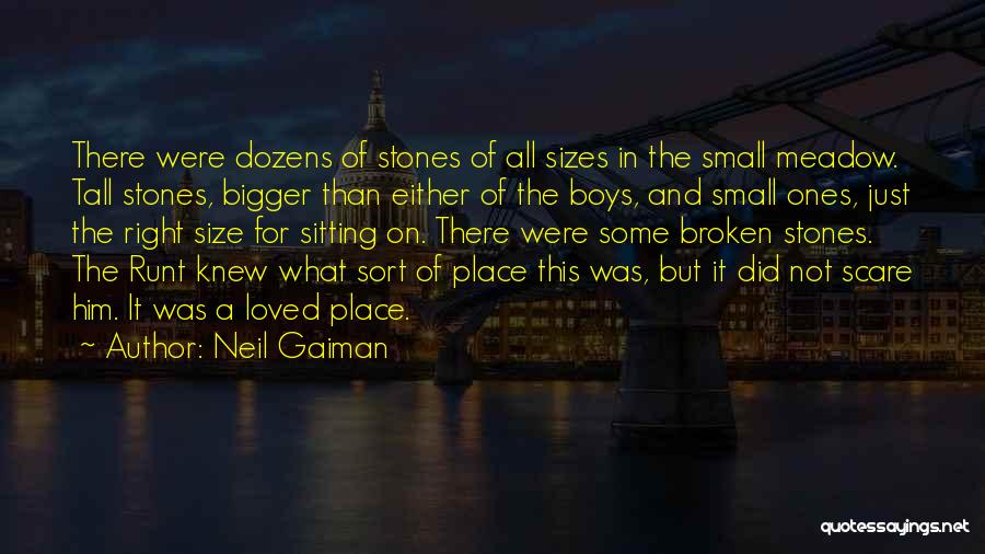 Neil Gaiman Quotes: There Were Dozens Of Stones Of All Sizes In The Small Meadow. Tall Stones, Bigger Than Either Of The Boys,