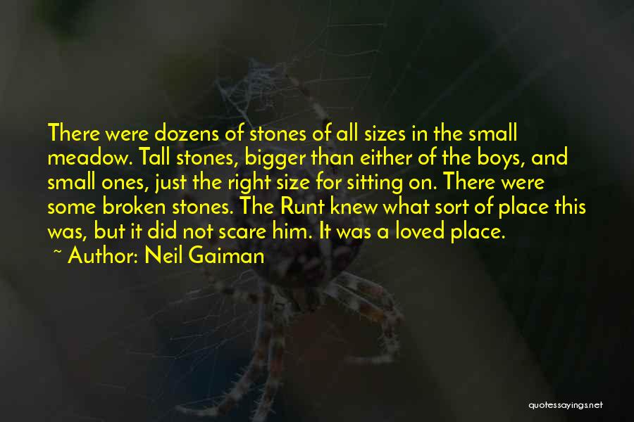 Neil Gaiman Quotes: There Were Dozens Of Stones Of All Sizes In The Small Meadow. Tall Stones, Bigger Than Either Of The Boys,