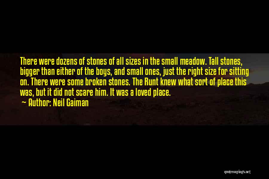 Neil Gaiman Quotes: There Were Dozens Of Stones Of All Sizes In The Small Meadow. Tall Stones, Bigger Than Either Of The Boys,