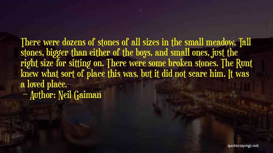 Neil Gaiman Quotes: There Were Dozens Of Stones Of All Sizes In The Small Meadow. Tall Stones, Bigger Than Either Of The Boys,