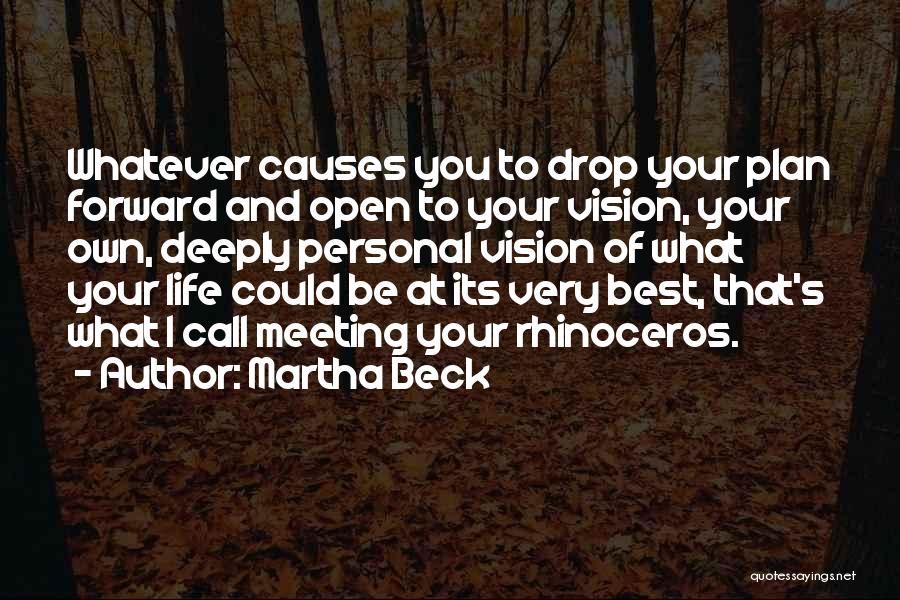 Martha Beck Quotes: Whatever Causes You To Drop Your Plan Forward And Open To Your Vision, Your Own, Deeply Personal Vision Of What